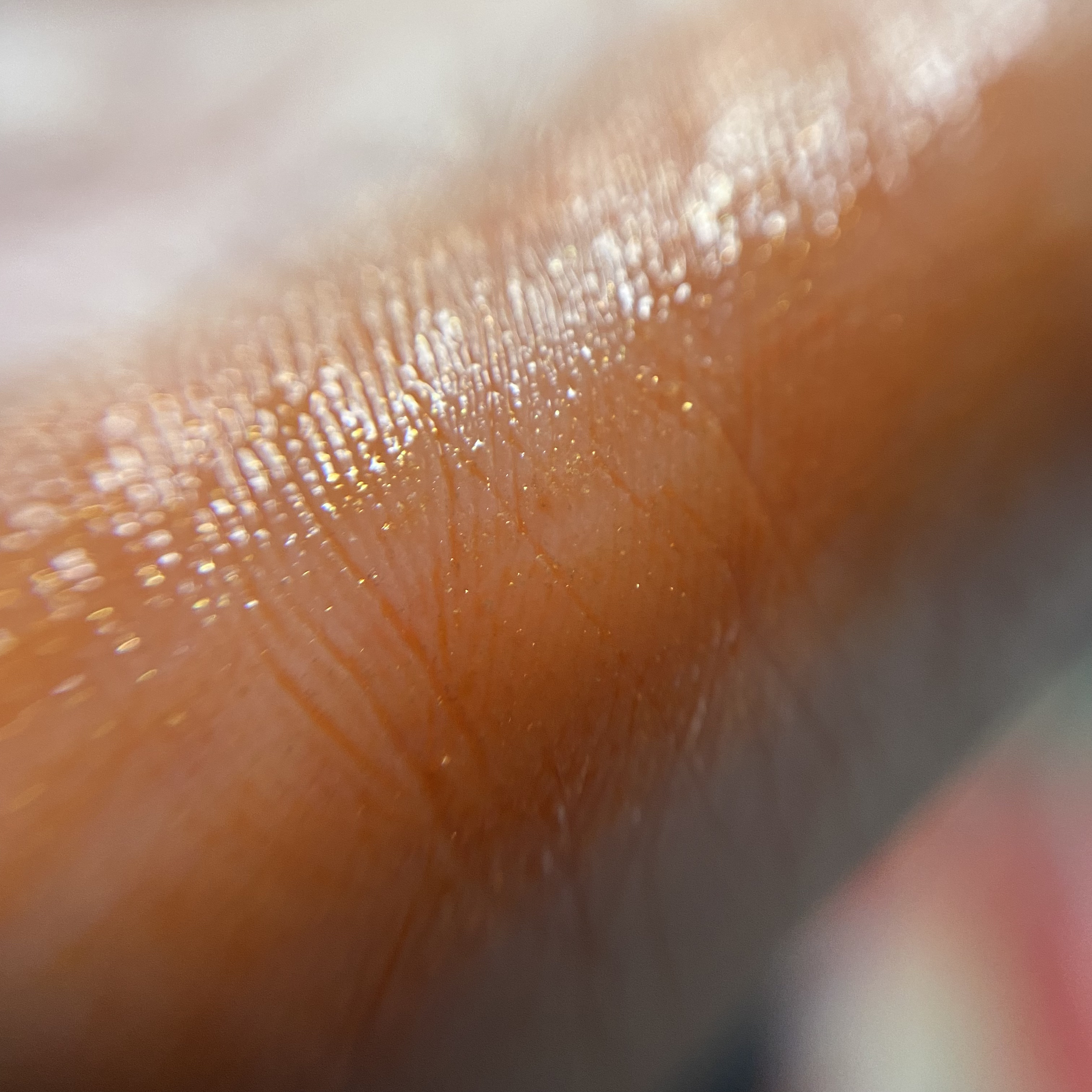 ケイト リップモンスター/KATE/口紅を使ったクチコミ（2枚目）