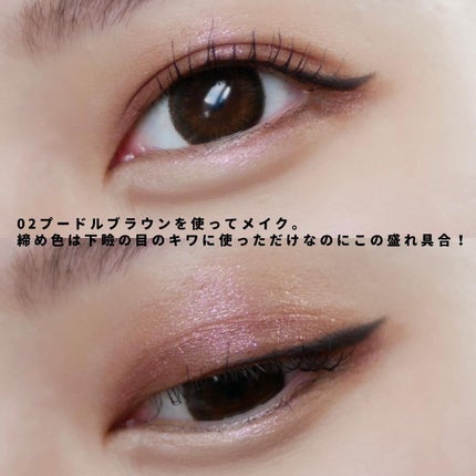 わんだふるアイカラー/KIREI FACTORY/アイシャドウパレットを使ったクチコミ(9枚目)