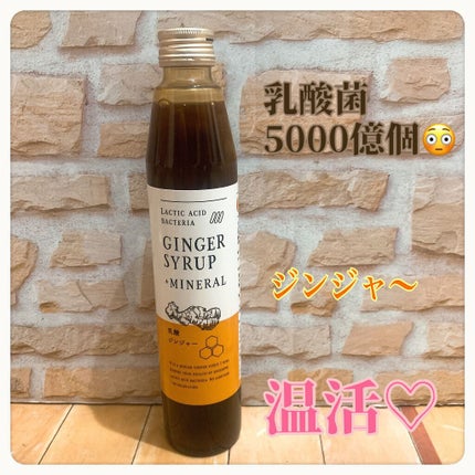 生姜シロップ 乳酸ジンジャー 10mL×15包/乳酸ジンジャー/乳酸菌飲料を使ったクチコミ(1枚目)