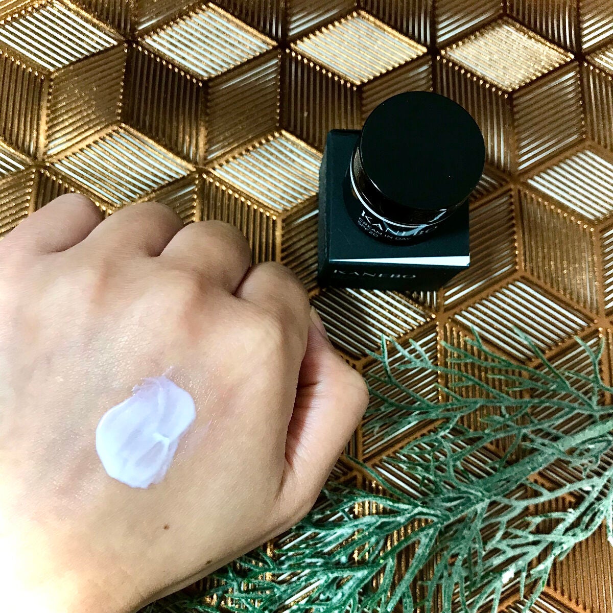 クリーム イン デイ/KANEBO/フェイスクリームを使ったクチコミ(2枚目)