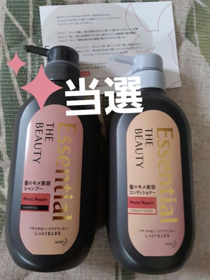 THE BEAUTY 髪ã®ãã¡çŸå®¹ã·ã£ã³ããŒïŒã³ã³ãã£ã·ã§ããŒïŒã¢ã€ã¹ããªãã¢ïŒ /ãšãã»ã³ã·ã£ã«/åžè²©ã·ã£ã³ããŒã䜿ã£ãã¯ãã³ãïŒ1æç®ïŒ