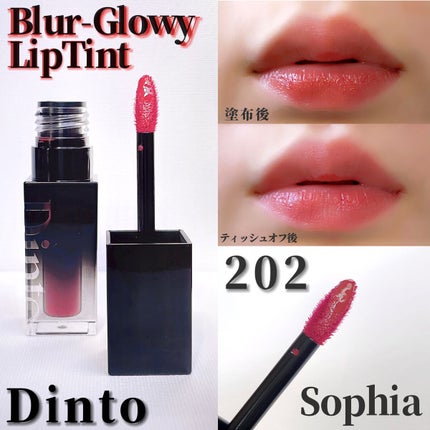 Dinto(ディーント) 禍々し ブラーグロイリップティント 202 Dinto(ディーント) 禍々し ブラーグロイリップティント 202