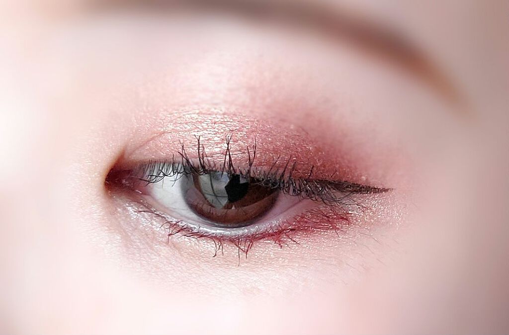 グロッシーリッチ アイズ N/Visée/アイシャドウパレットを使ったクチコミ（3枚目）