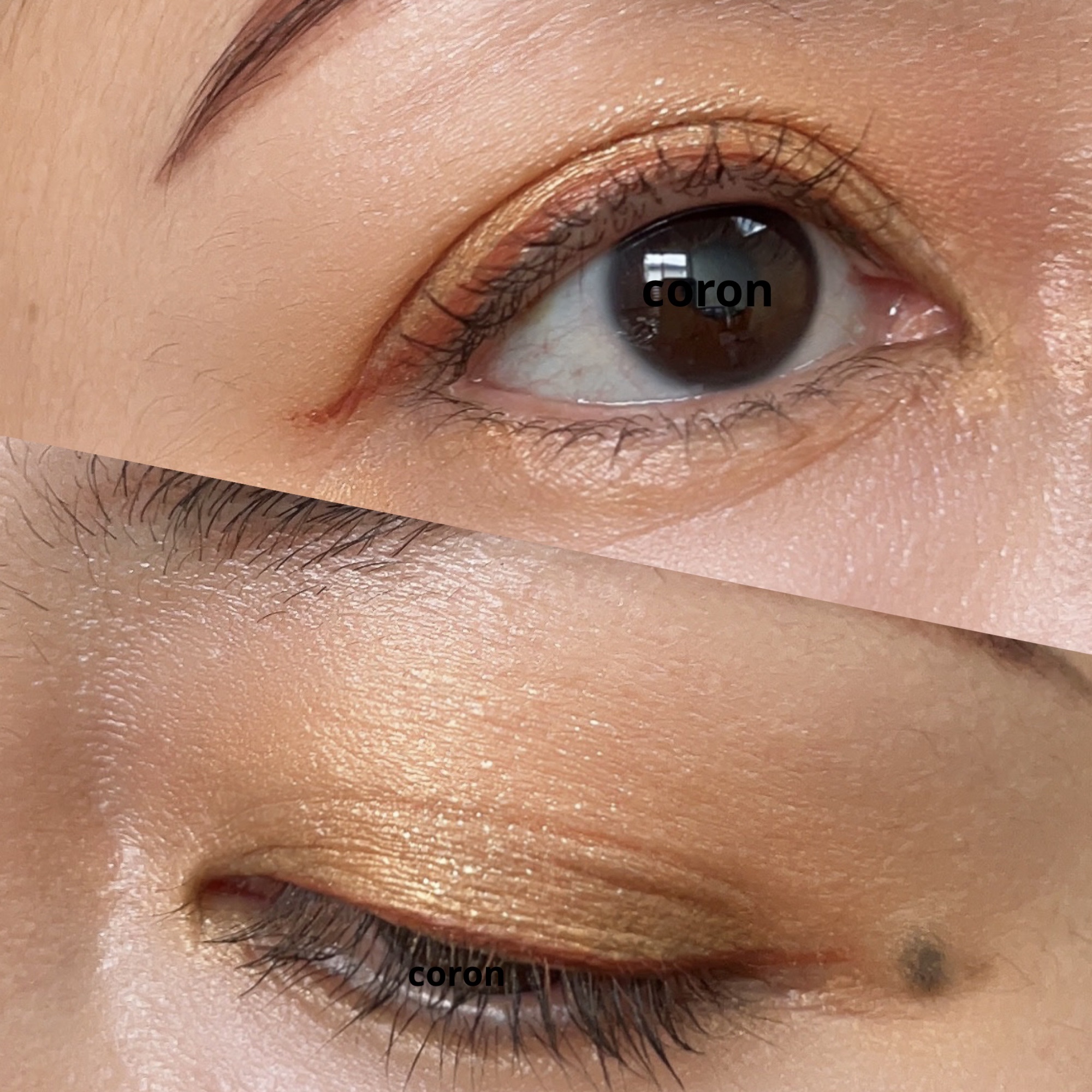 「塗るつけまつげ」ロングタイプ/デジャヴュ/マスカラを使ったクチコミ（2枚目）