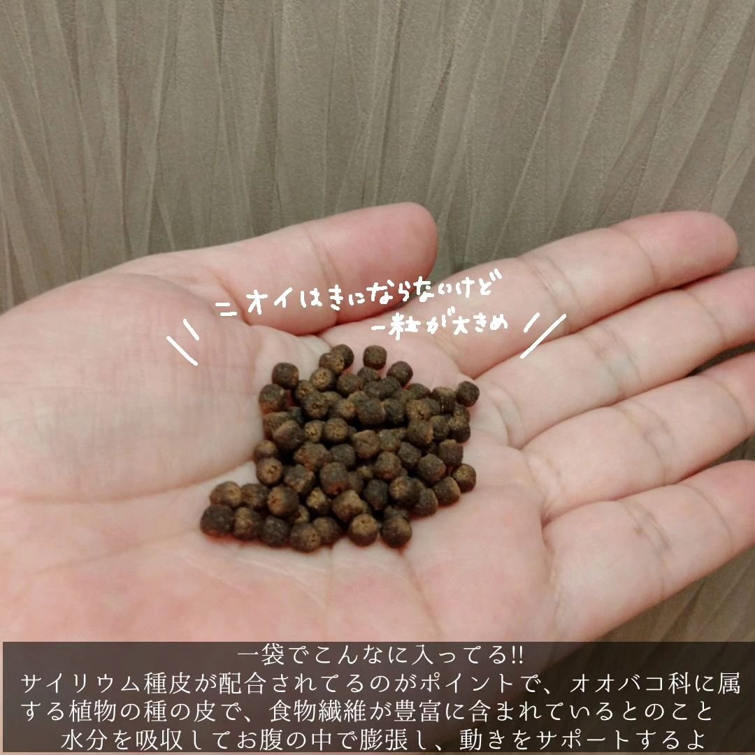 ニョロニョロ隊長+オリジナル/In style Plus/その他を使ったクチコミ（2枚目）