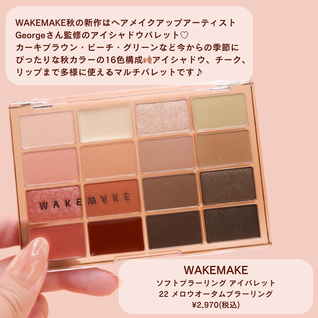 ソフトブラーリングアイパレット/wakemake/アイシャドウパレットを使ったクチコミ（2枚目）
