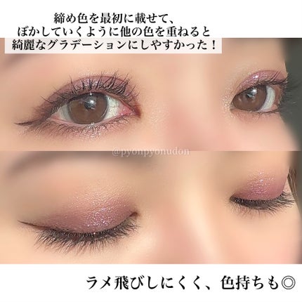ディオールショウ サンク クルール(プラン ドゥ パリ コレクション限定品)/Dior/アイシャドウを使ったクチコミ(5枚目)