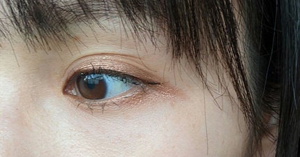 The Bella collection eyeshadow palette/CELEFIT/アイシャドウパレットを使ったクチコミ(4枚目)