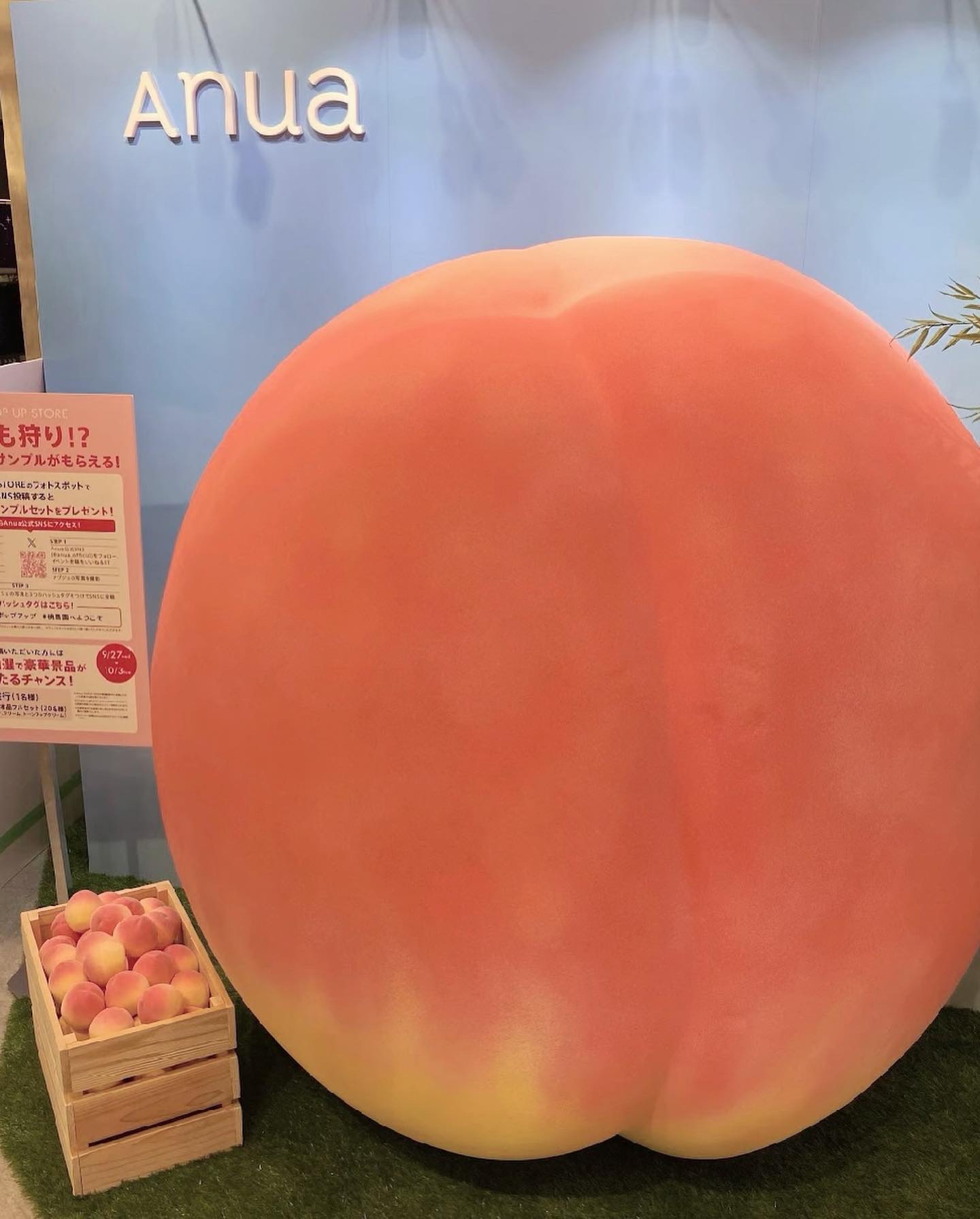 桃70%ナイアシンセラム/Anua/美容液を使ったクチコミ（1枚目）