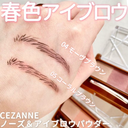 ノーズ&アイブロウパウダー/CEZANNE/パウダーアイブロウを使ったクチコミ(1枚目)