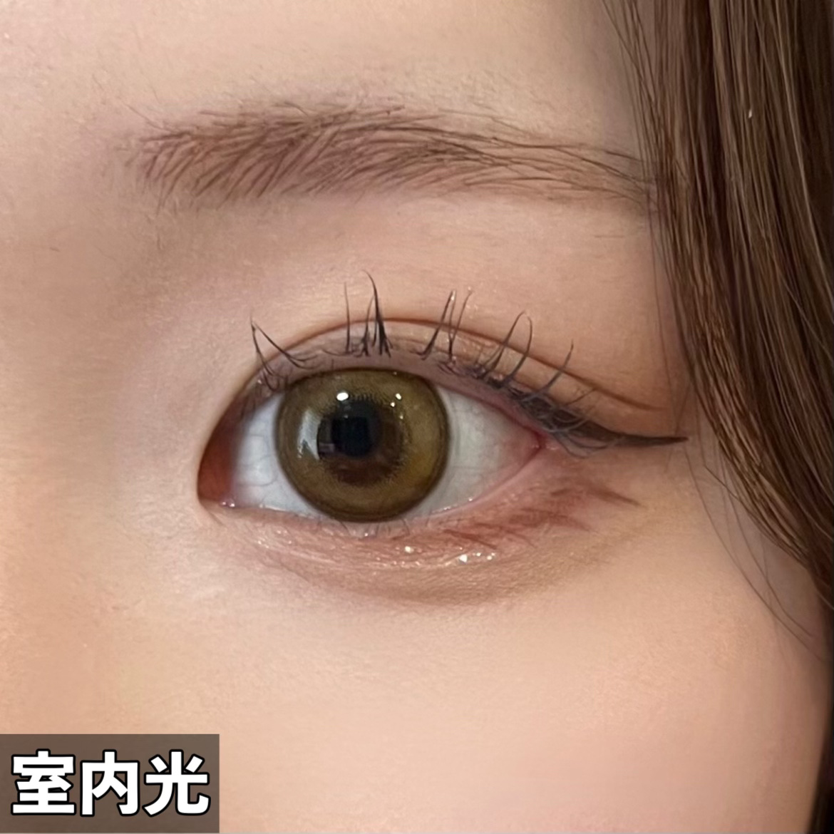 Angelcolor Bambi Series 1day /AngelColor/ワンデー（１DAY）カラコンを使ったクチコミ（3枚目）