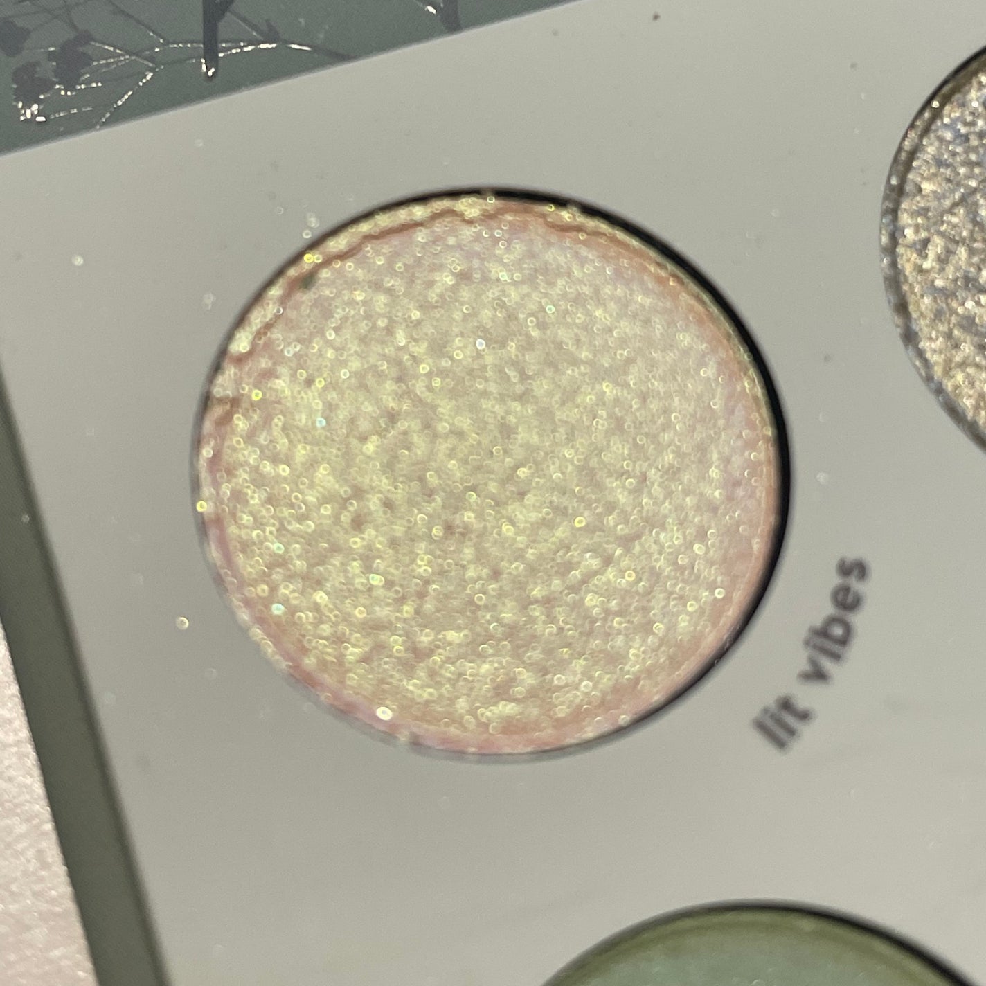 sage the day palette/ColourPop/アイシャドウパレットを使ったクチコミ(7枚目)