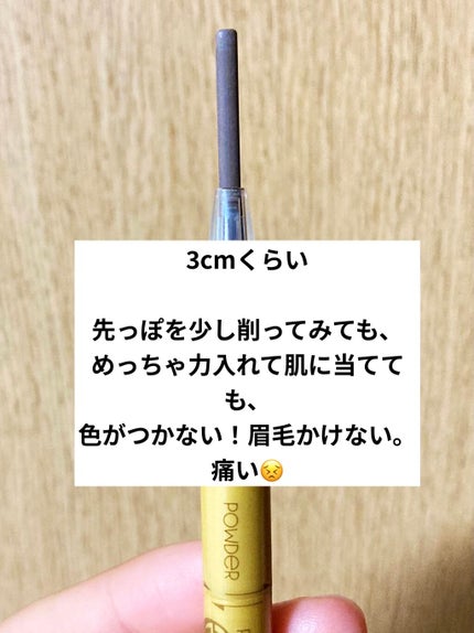 パウダー&ペンシル アイブロウEX/excel/アイブロウペンシルを使ったクチコミ(2枚目)