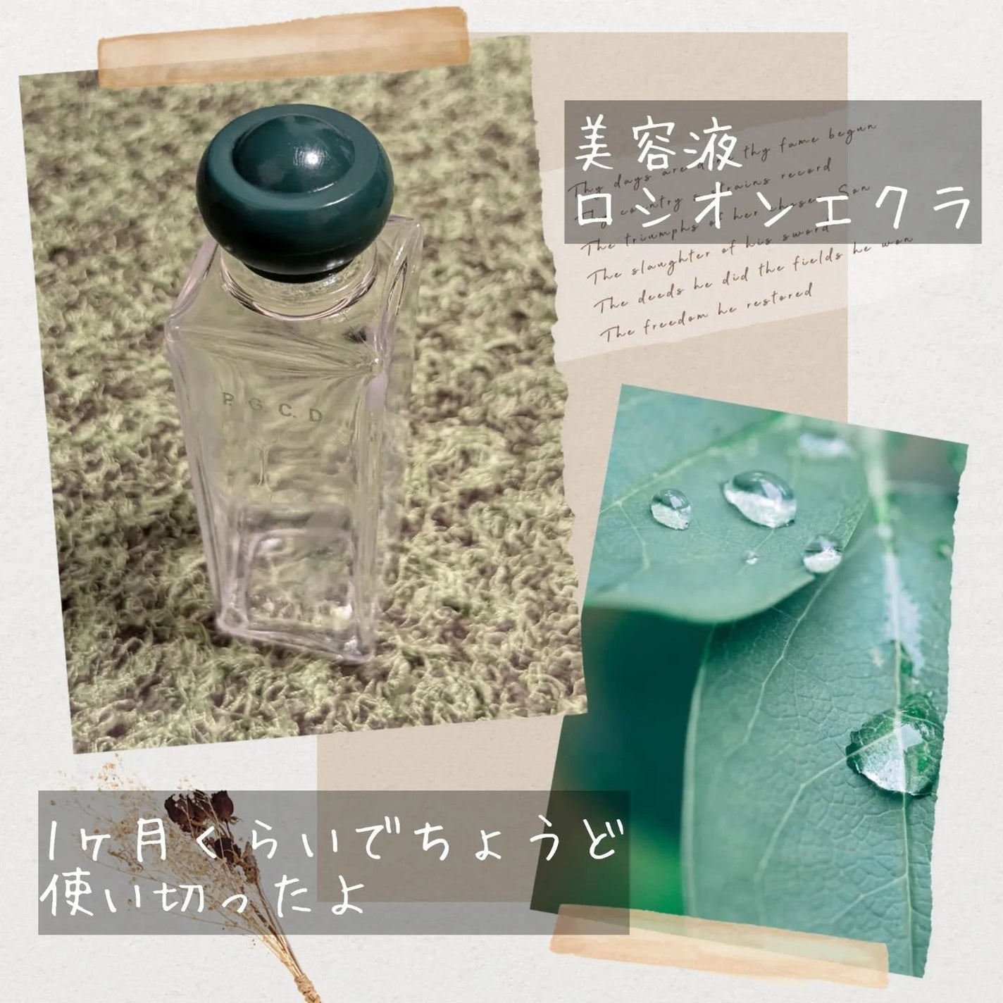 サボンクレール/P.G.C.D.(ペー・ジェー・セー・デー)/洗顔石鹸を使ったクチコミ(2枚目)