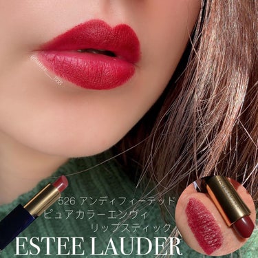 ピュア カラー エンヴィ リップスティック 526 アンディフィーテッド/ESTEE LAUDER/口紅を使ったクチコミ（1枚目）