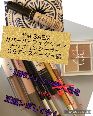 カバーパーフェクション チップコンシーラー 0.5 アイスベージュ/the SAEM/コンシーラーを使ったクチコミ（1枚目）