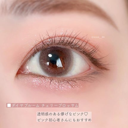 エバーカラーワンデー ナチュラル/エバーカラー/ワンデー(1DAY)カラコンを使ったクチコミ(5枚目)