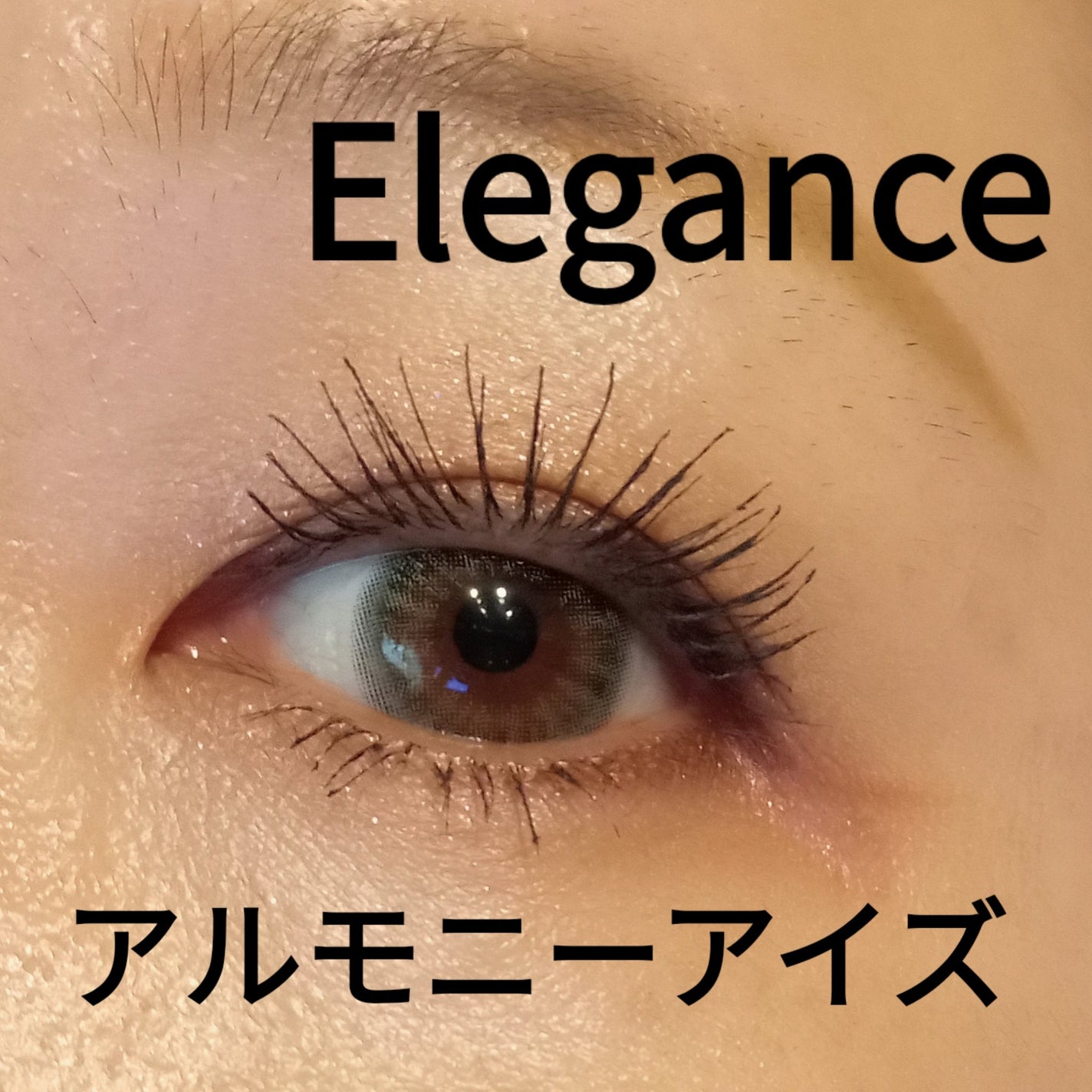エレガンス アルモニーアイズ/Elégance/アイシャドウパレットを使ったクチコミ(1枚目)