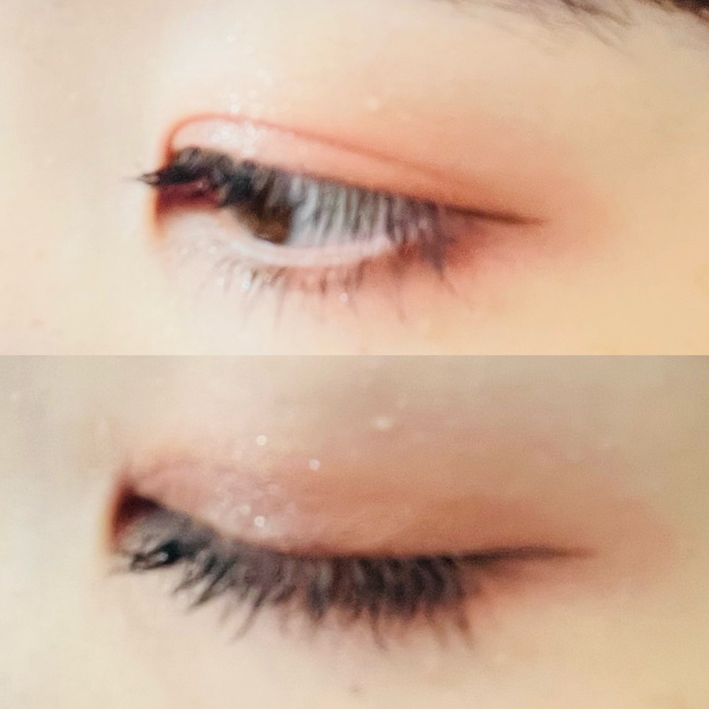 フラワーノーズスワンバレエシリーズ アイシャドウパレット/FlowerKnows/アイシャドウパレットを使ったクチコミ(5枚目)