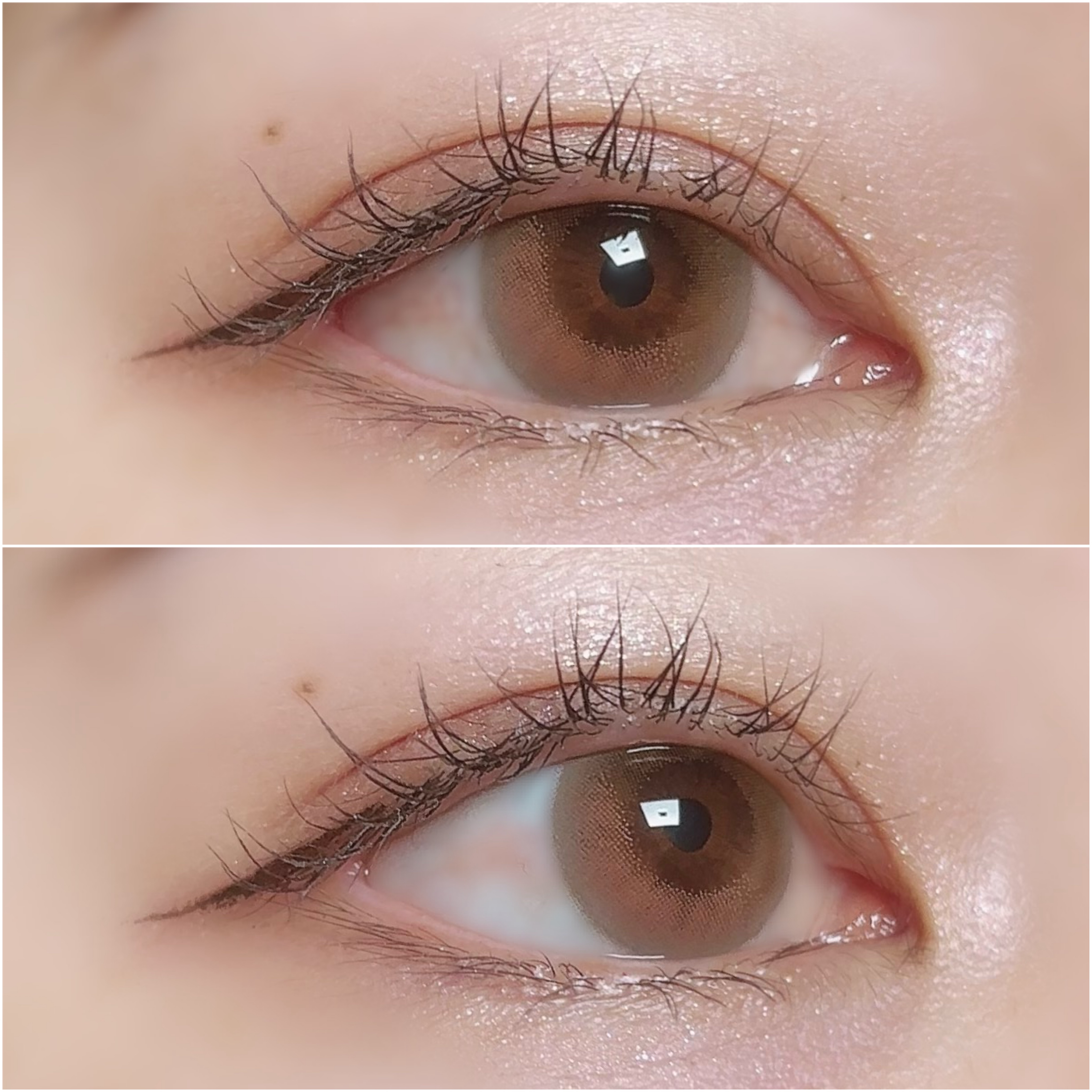 WANAF 1day シャイルージュ(SHY ROUGE)/WANAF/ワンデー（１DAY）カラコンを使ったクチコミ（3枚目）