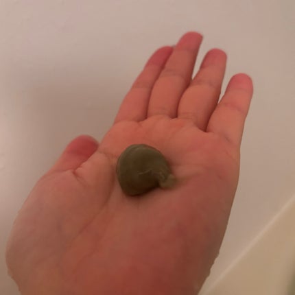 ファンゴ ヘッドクレンズ SPA+/Prédia/頭皮ケアを使ったクチコミ(2枚目)