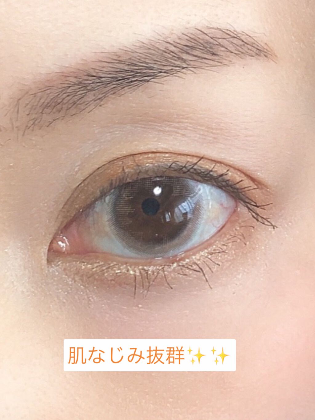 エテュセ アイエディション(カラーパレット)/ettusais/アイシャドウパレットを使ったクチコミ(3枚目)