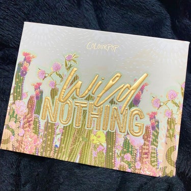 ColourPop  ワイルドナッシングのクチコミ「<ColourPop>
Wild Nothing

カラーポップにしては珍しい
ナチュラルな色.....」（2枚目）