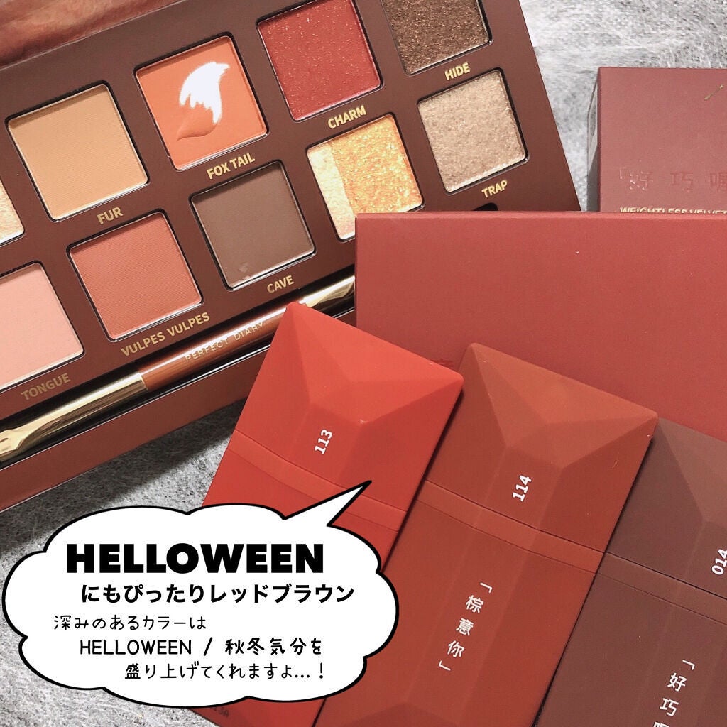 エクスプローラ12色 動物アイシャドウパレット/PERFECT DIARY/アイシャドウパレットを使ったクチコミ(2枚目)