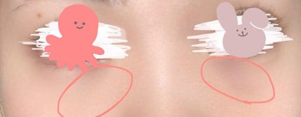 カラーブレンドパウダーコンシーラー/ディエム クルール/パウダーコンシーラーを使ったクチコミ(1枚目)