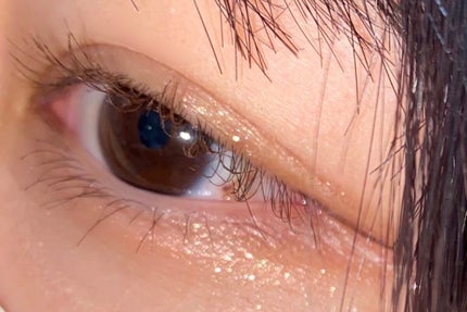 アイプランナー/excel/単色アイシャドウを使ったクチコミ(2枚目)