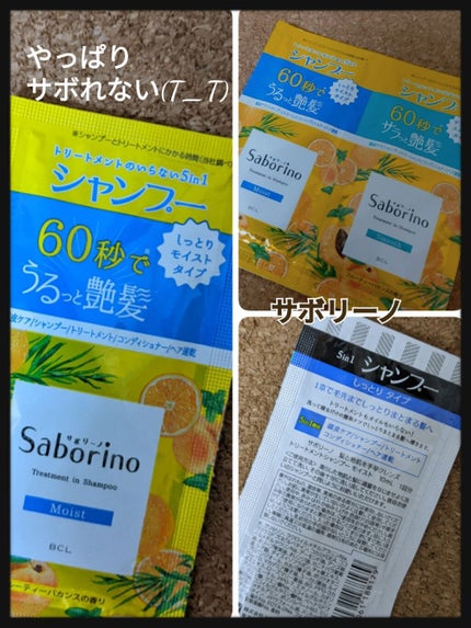 髪と地肌を手早クレンズ トリートメントシャンプー モイスト&スムース 1回分/サボリーノ/市販シャンプーを使ったクチコミ(1枚目)