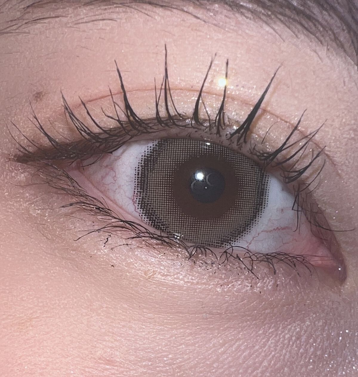 「塗るつけまつげ」自まつげ際立てタイプ/デジャヴュ/マスカラを使ったクチコミ（2枚目）