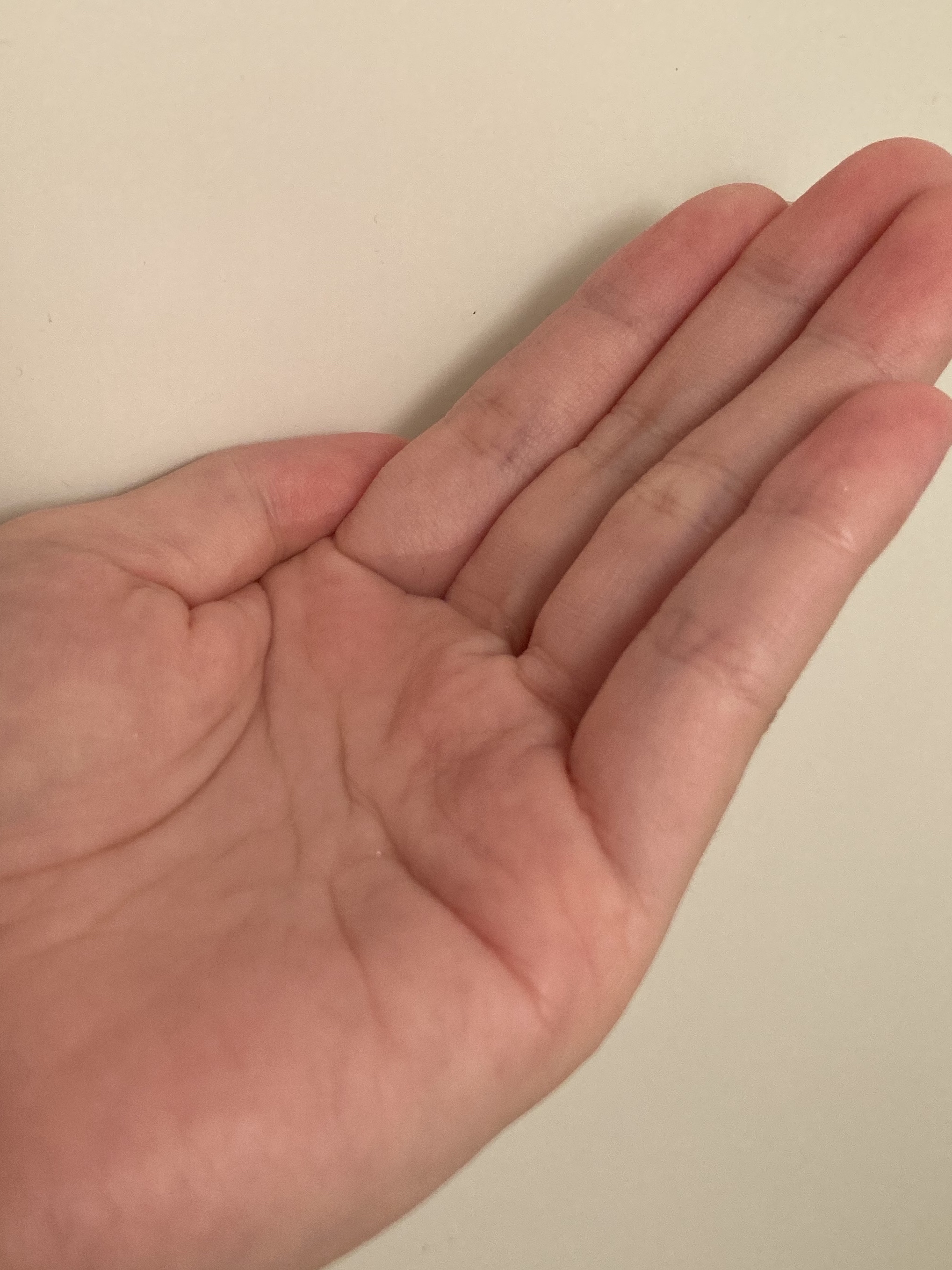 モイストソフナー 03モイスチャーレススカルプ 350ml/Sorule/市販シャンプーを使ったクチコミ（3枚目）