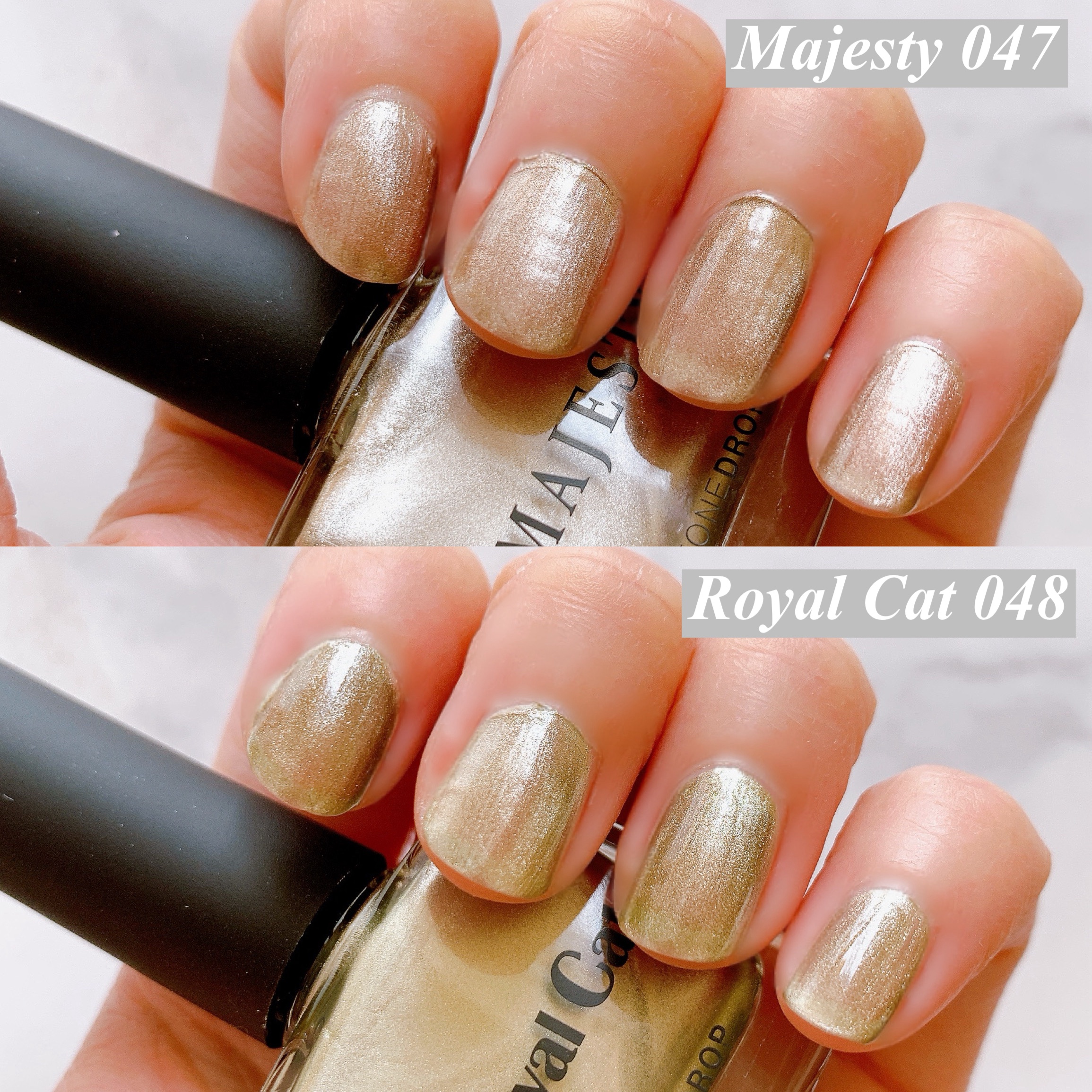 TONE DROP ネイルポリッシュ/D-UP/マニキュアを使ったクチコミ（3枚目）