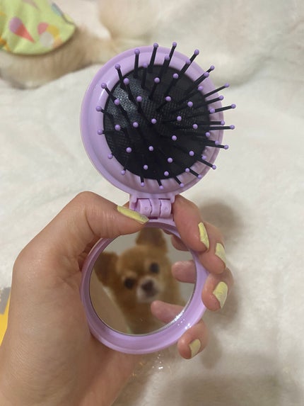 DN ミラー付きコンパクトブラシ/PU/DISNEY/ヘアブラシを使ったクチコミ(4枚目)