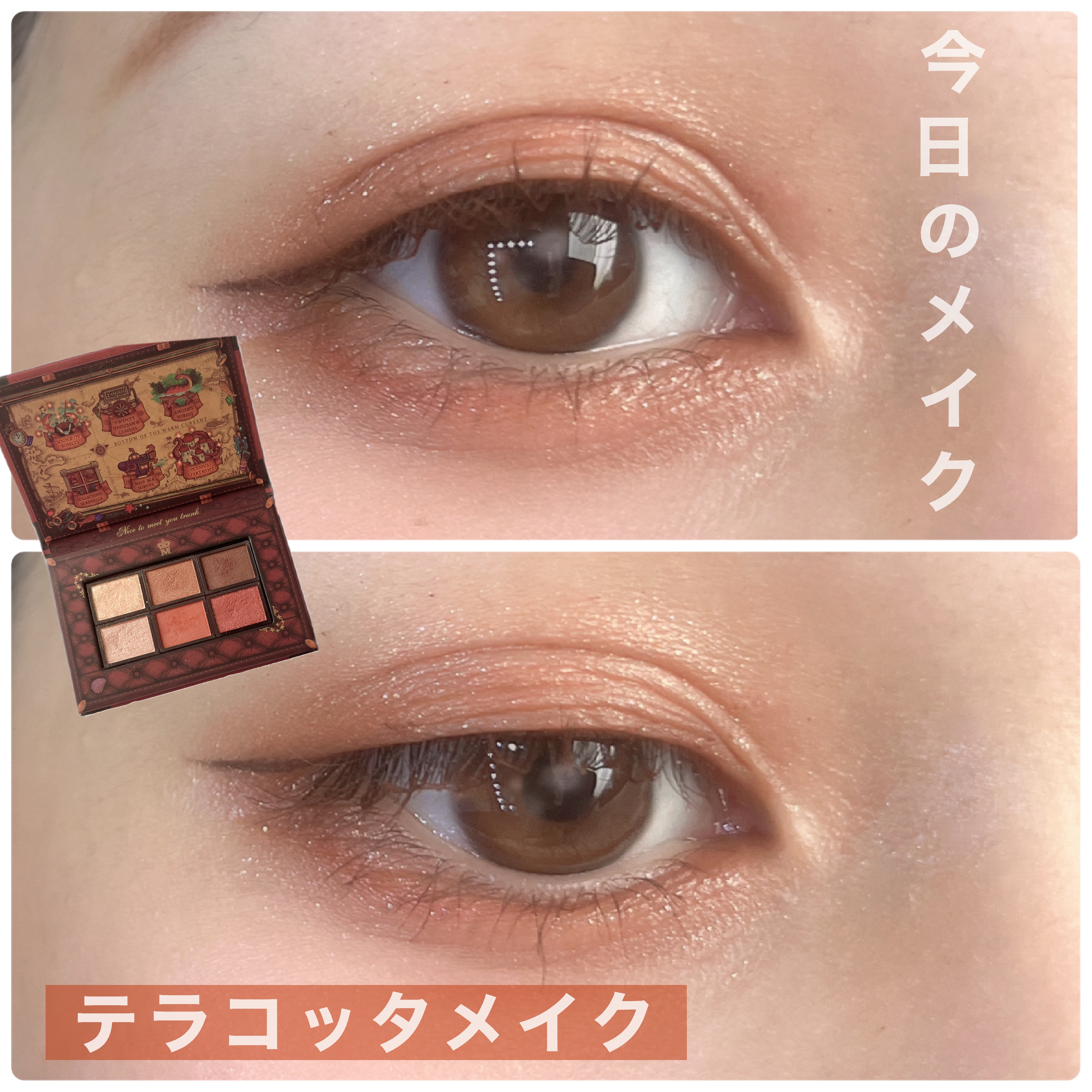 ナイストゥミーチュートランク/MAJOLICA MAJORCA/アイシャドウパレットを使ったクチコミ（1枚目）