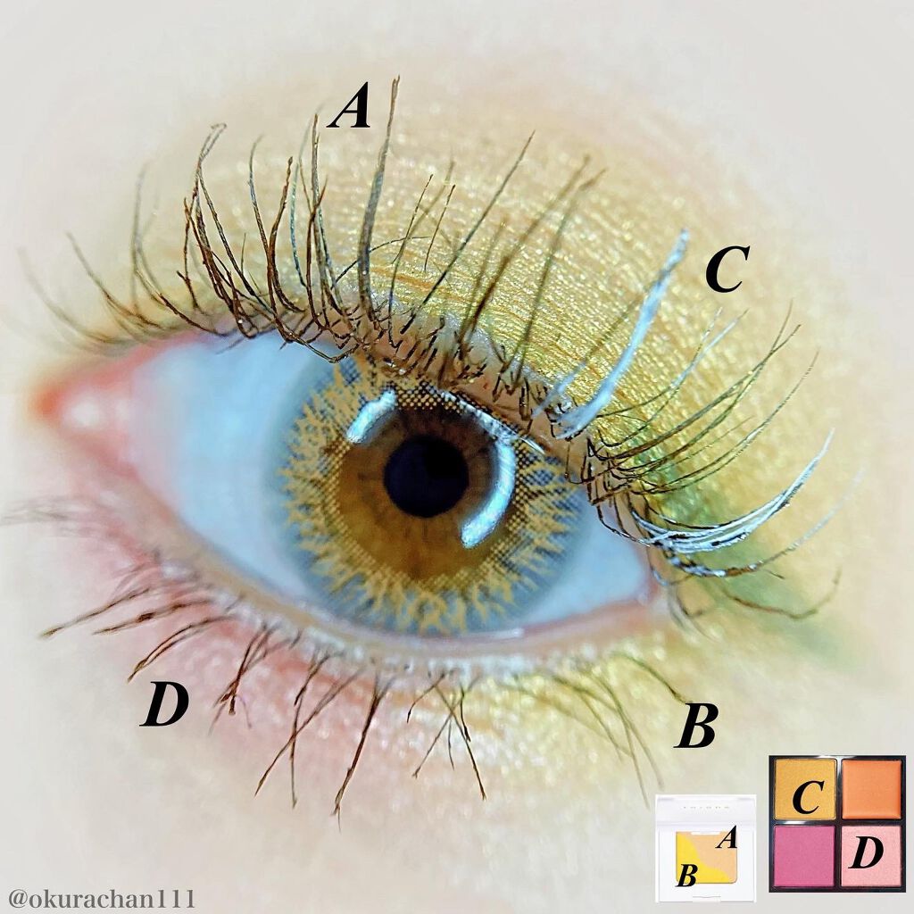 トーン ペタル アイシャドウ/to/one/アイシャドウパレットを使ったクチコミ（3枚目）