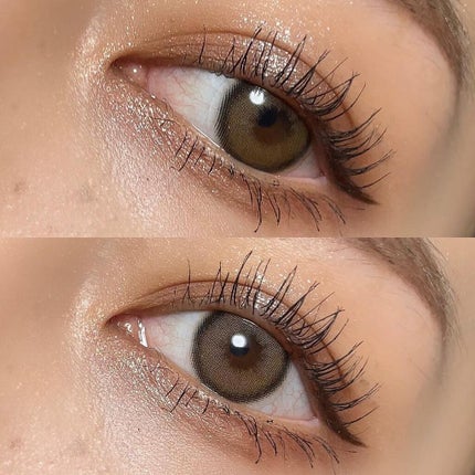 エクスプローラ12色 動物アイシャドウパレット/PERFECT DIARY/アイシャドウパレットを使ったクチコミ(4枚目)