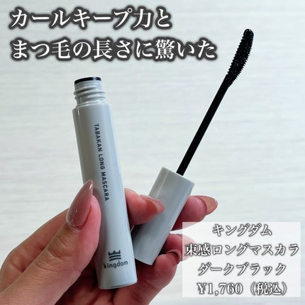 キングダム 束感ロングマスカラ/キングダム/マスカラを使ったクチコミ(2枚目)