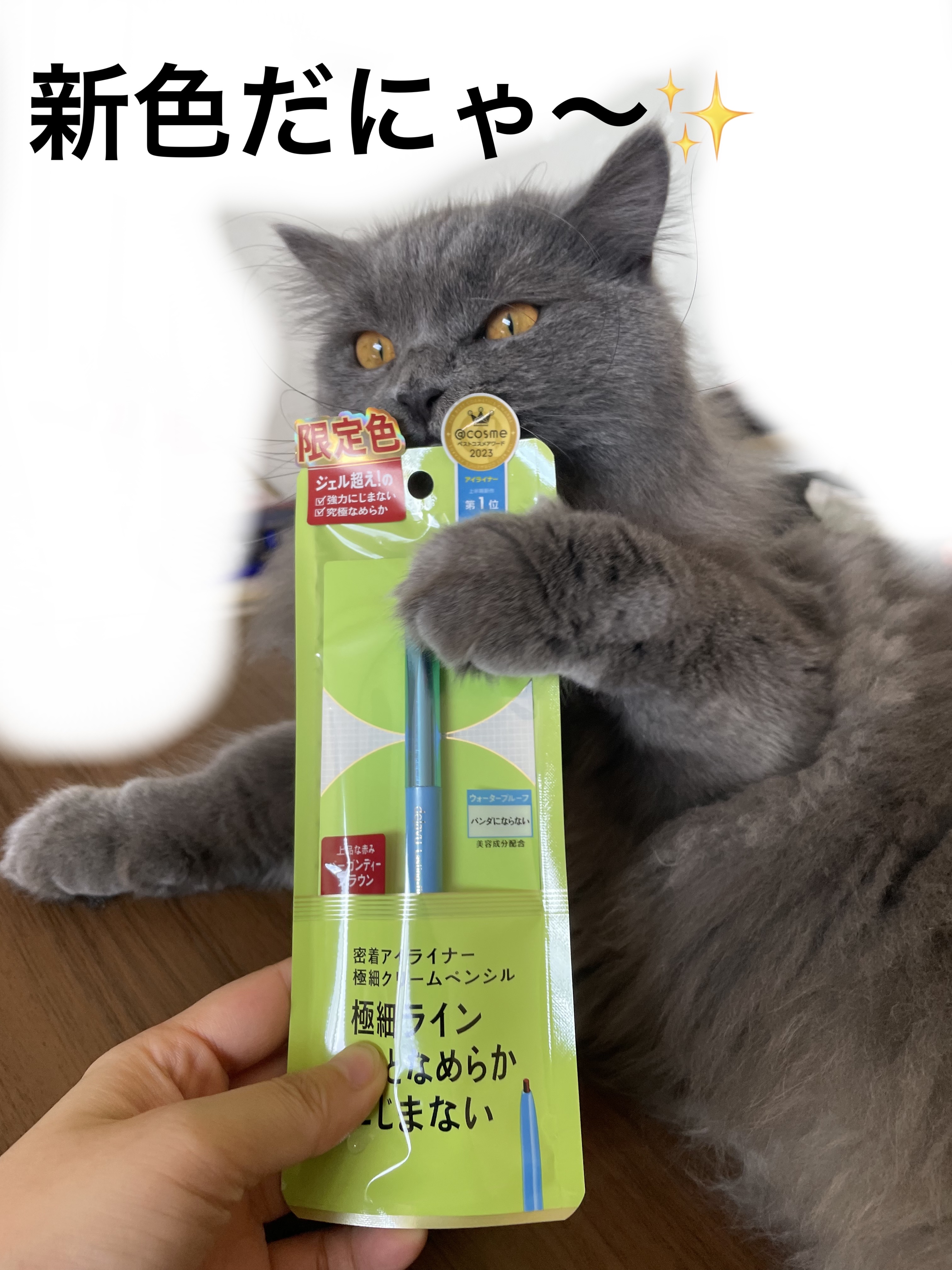 「密着アイライナー」極細クリームペンシル/デジャヴュ/ペンシルアイライナーを使ったクチコミ（1枚目）