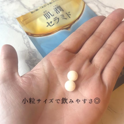肌潤セラミド/ミカレア/美容サプリメントを使ったクチコミ(6枚目)