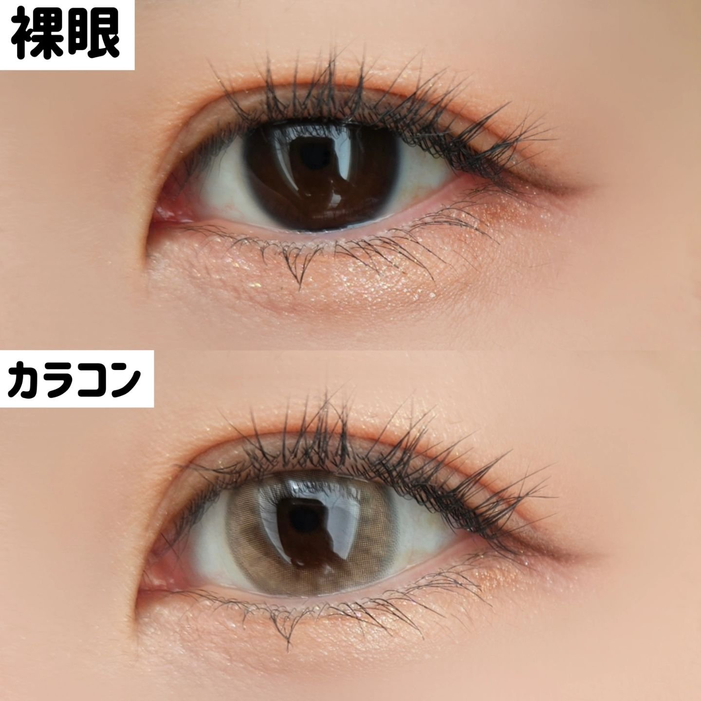 Spanish 1Day(スパニッシュ 1Day)/OLENS/ワンデー（１DAY）カラコンを使ったクチコミ（3枚目）