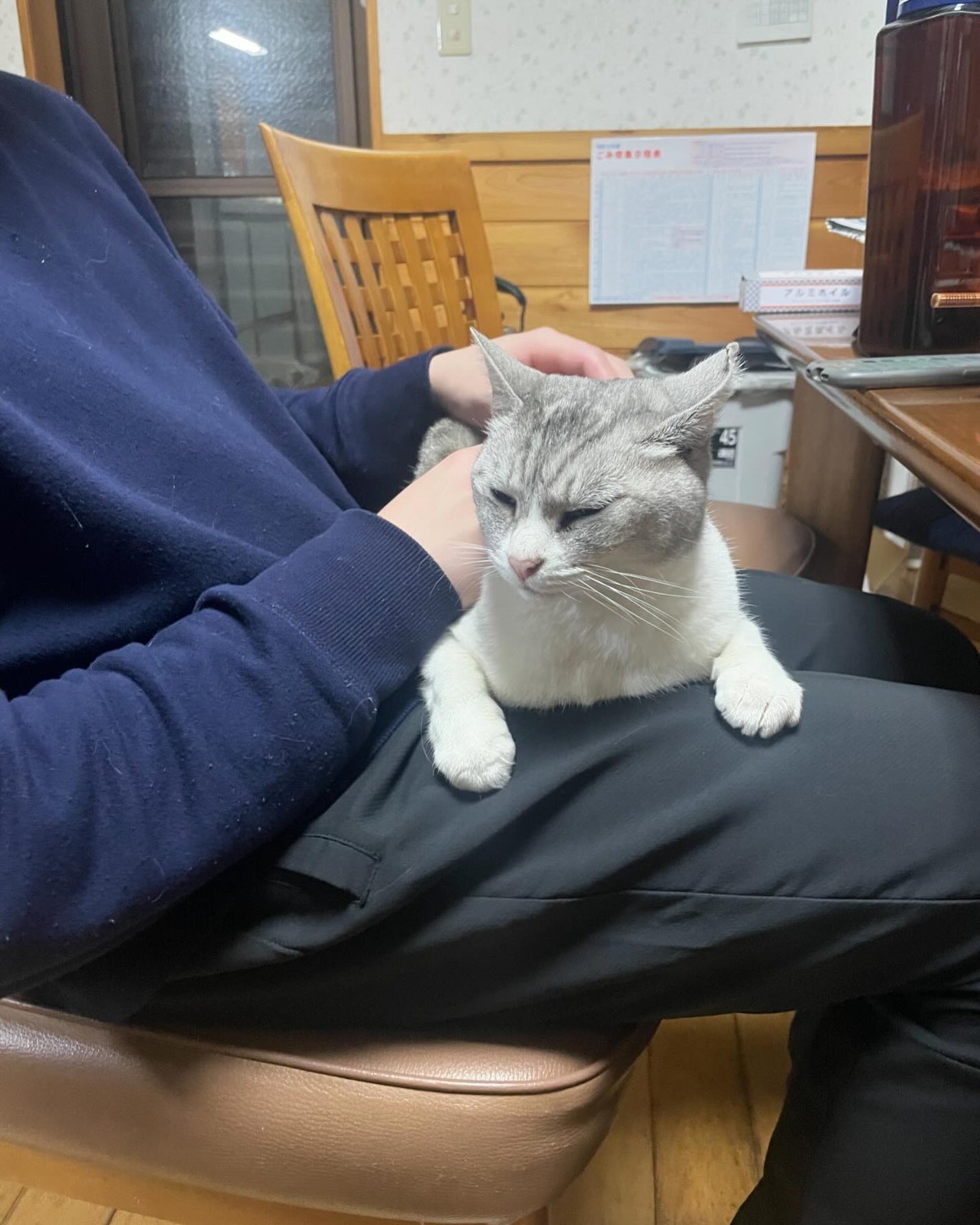 ミャオパウズアイシャドウパレット/MilleFée/アイシャドウパレットを使ったクチコミ(7枚目)