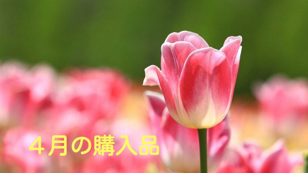 メルティクリームリップ/メンソレータム/リップクリームを使ったクチコミ(1枚目)