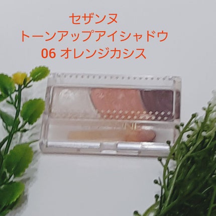 トーンアップアイシャドウ/CEZANNE/アイシャドウパレットを使ったクチコミ(1枚目)