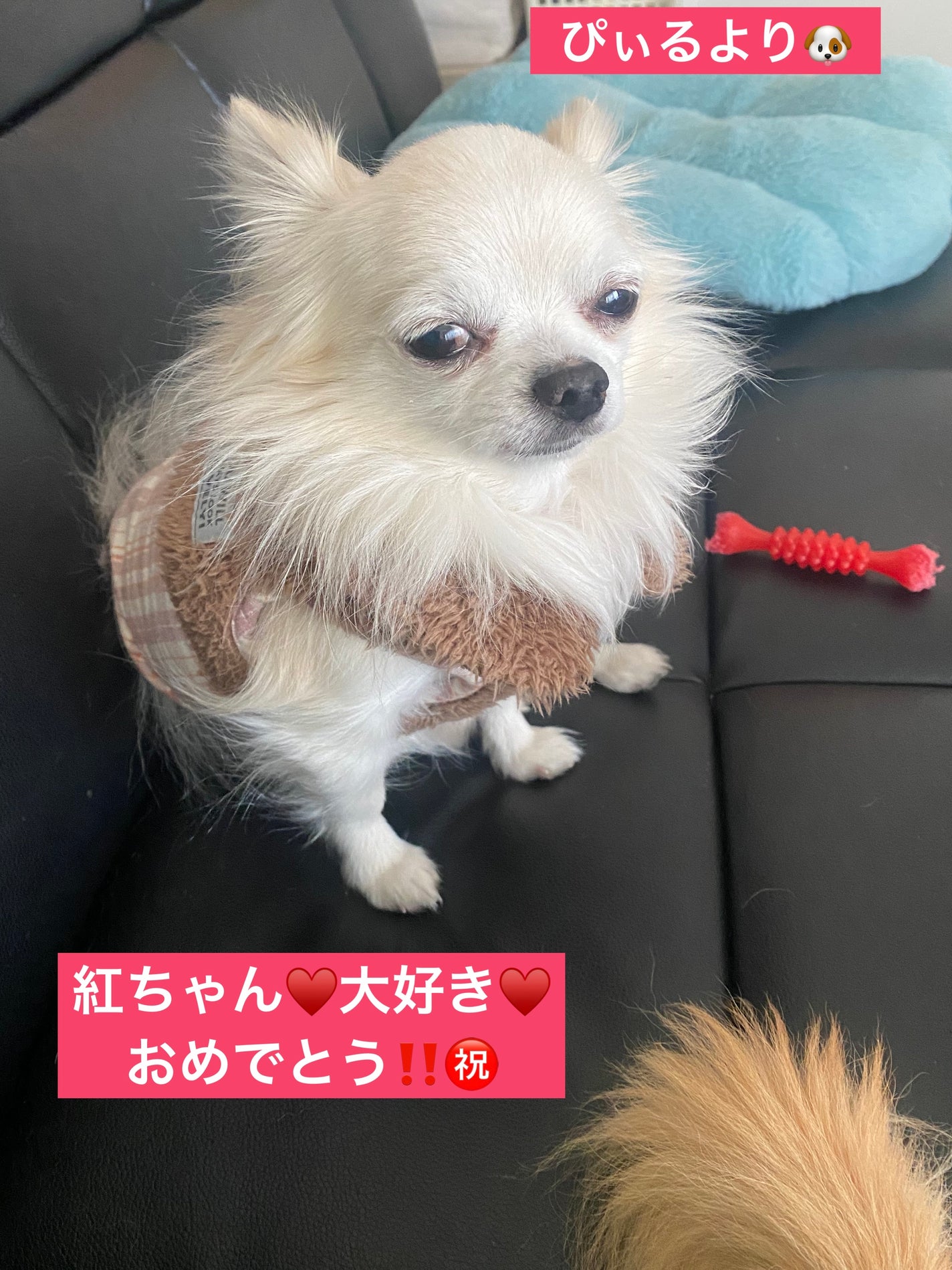 ヴェルニ ロング トゥニュ/CHANEL/マニキュアを使ったクチコミ(6枚目)