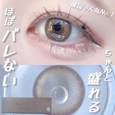 メローズワンデーミューズブラウン(Mellows 1day Muse Brown)/OLOLA/ワンデー（１DAY）カラコンを使ったクチコミ（1枚目）