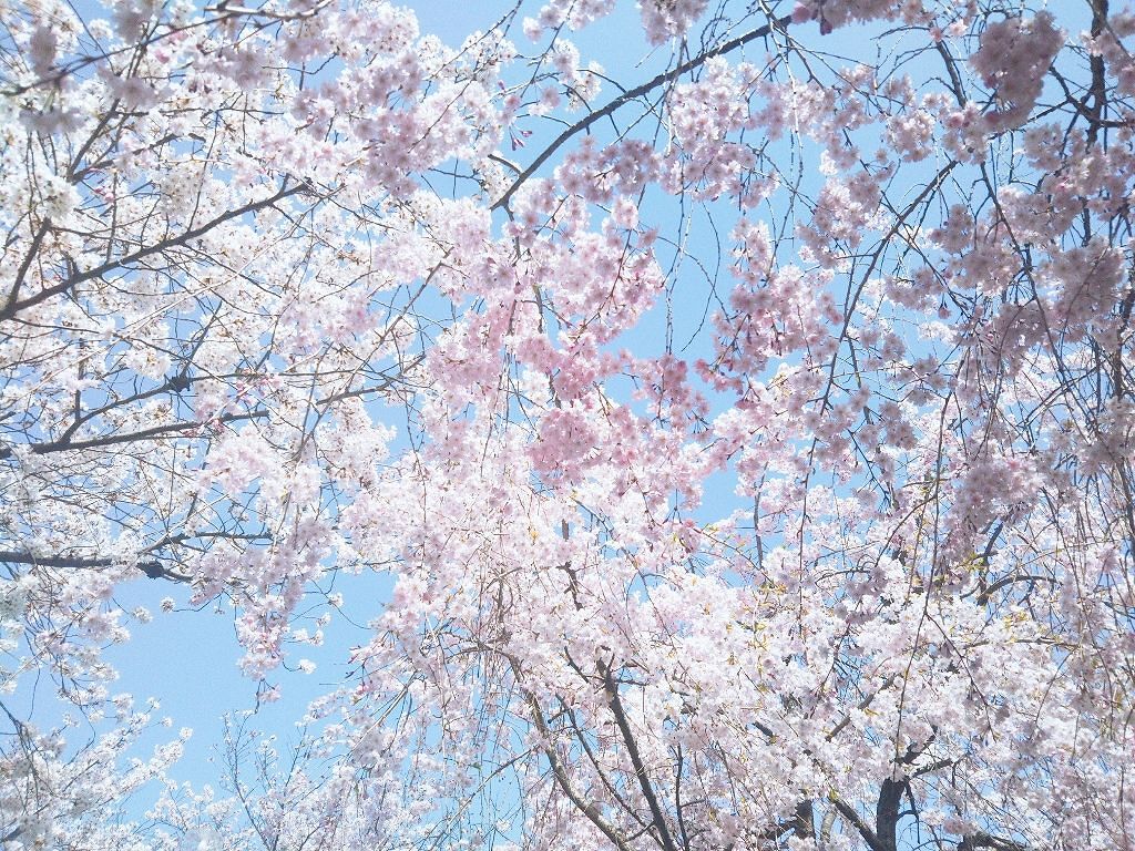 自己紹介/雑談/その他を使ったクチコミ（1枚目）