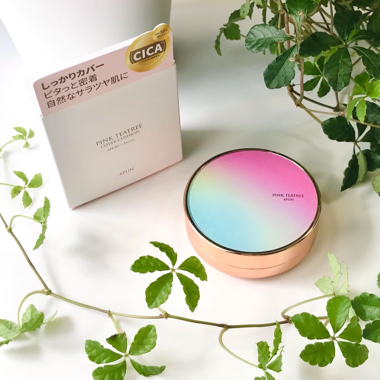 ピンクティーツリーカバークッション/APLIN/クッションファンデーションを使ったクチコミ（2枚目）
