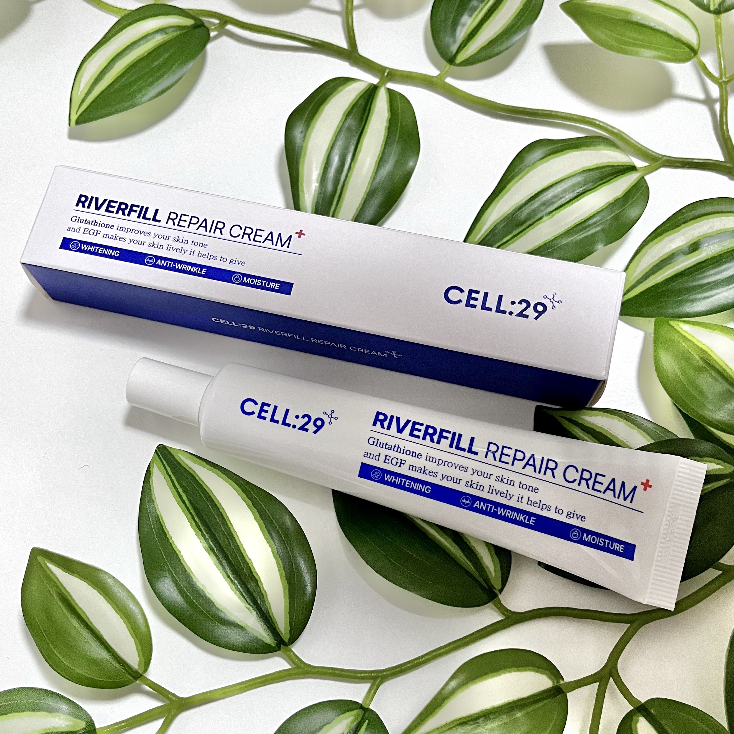 ALL EGF アズレン シミクリーム  / CELL:29